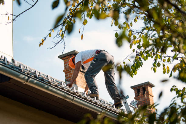 Best Flat Roof Repair Services  in Sulligent, AL